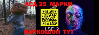 прущие крисы Кингисепп