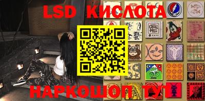 прущие крисы Кингисепп