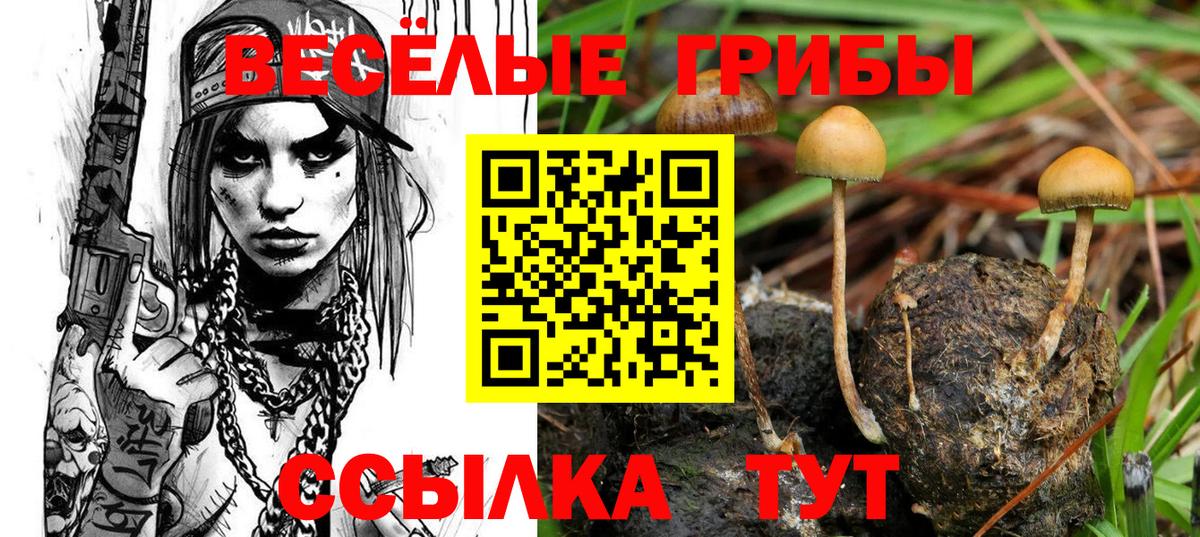 Кизляр  Галлюциногенные грибы прущие грибы  Псилоцибиновые грибы GOLDEN TEACHER  Вход с VPN 