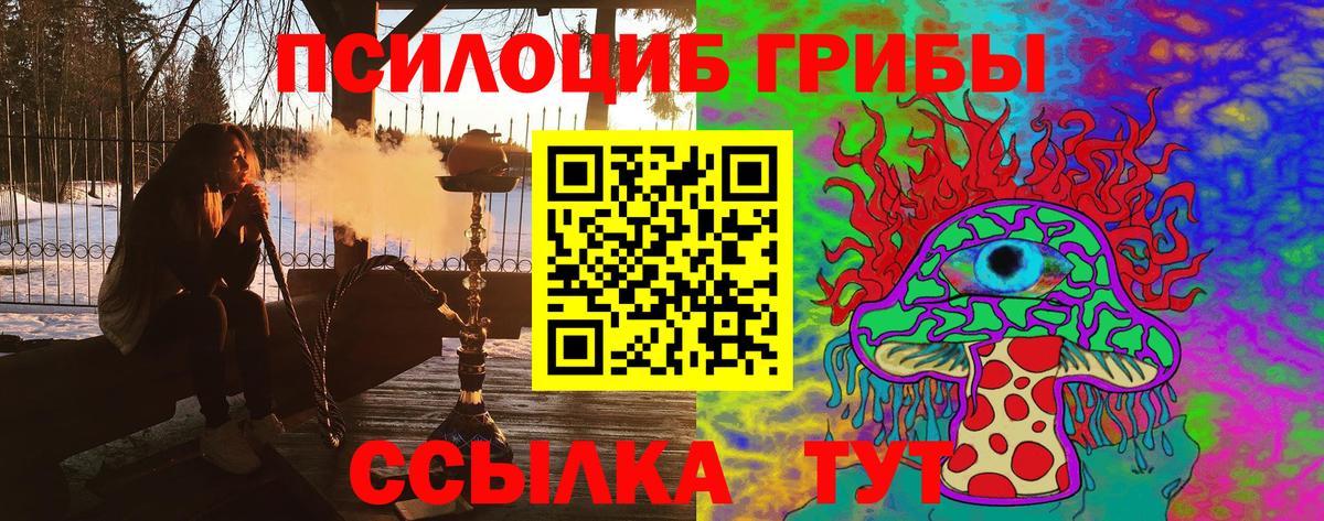 Галлюциногенные грибы прущие грибы Кизляр